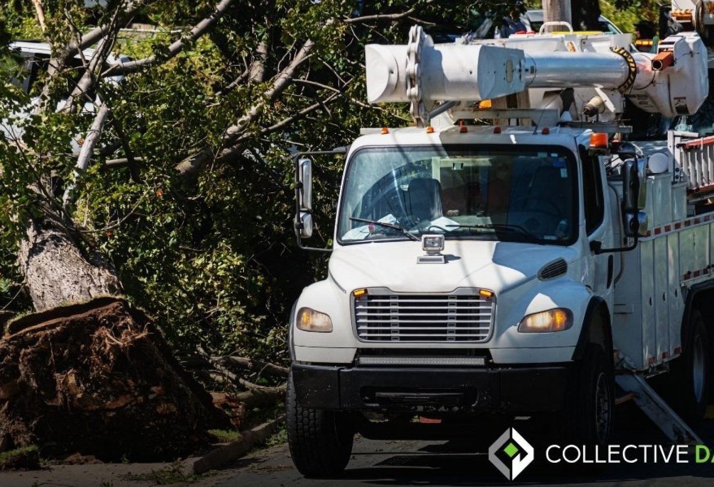 Fleet Management Process